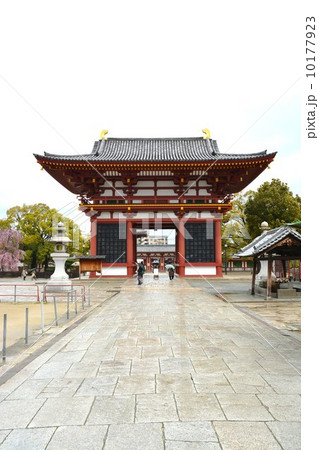 四天王寺　極楽門 10177923