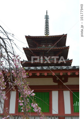 四天王寺　五重塔 10177940