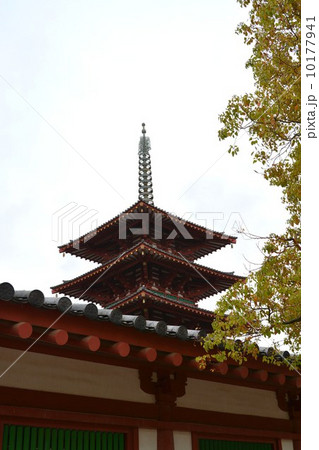 四天王寺　五重塔 10177941