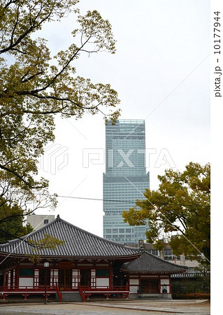 四天王寺よりアベノハルカスを望む 10177944