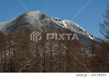 冬の太郎山 冬の太郎山 10178504