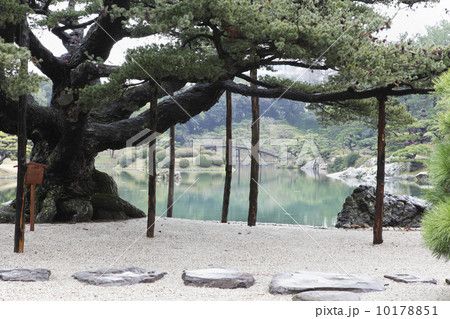 日本庭園 日本庭園 10178851