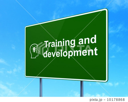 Training and Development Head Lightbulb 10178868