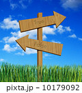 True and false on wooden signboard 10179092