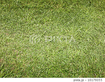 Grass Background Grass Background 10179355