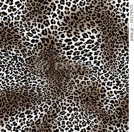 ヒョウ柄のパターン 10179475