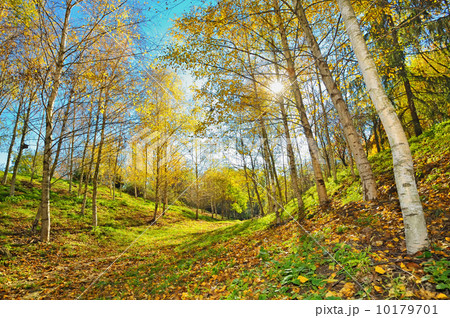 autumn landscape autumn landscape 10179701