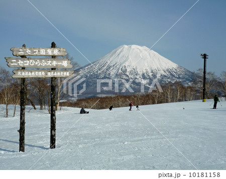 ニセコひらふから見る羊蹄山 ニセコひらふから見る羊蹄山 10181158