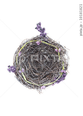 Empty nest 10181821