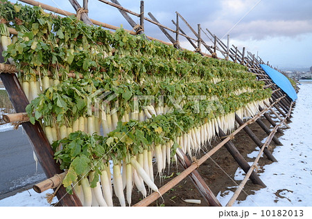 大根【横】 10182013