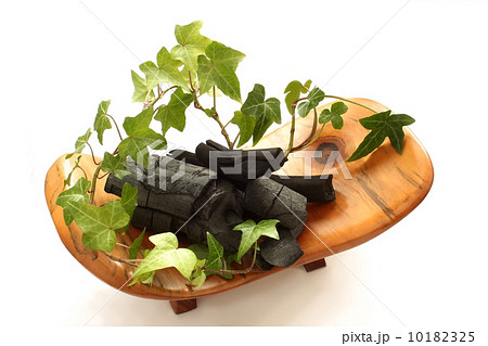 備長炭と観葉植物の写真素材