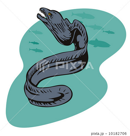 Moray Eel Retro 10182706