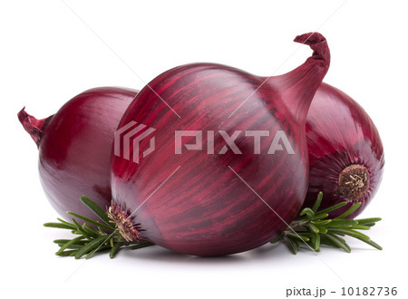 red onion and rosemary leaves 10182736