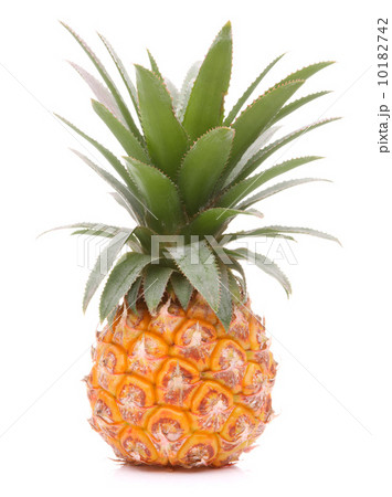Pineapple tropical fruit or ananas 10182742