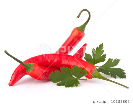 Hot red chili or chilli pepper and parsley leaves still life 10182802