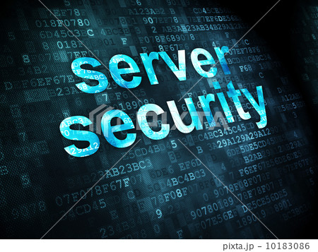 Safety concept: Server Security on digital background 10183086