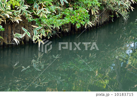 六義園・水辺 10183715