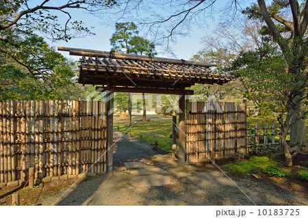 六義園 六義園 10183725