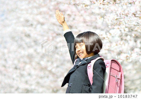手を上げる新一年生の女の子(桜) 手を上げる新一年生の女の子(桜) 10183747