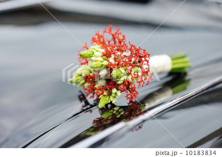 Beautiful wedding bouquet 10183834