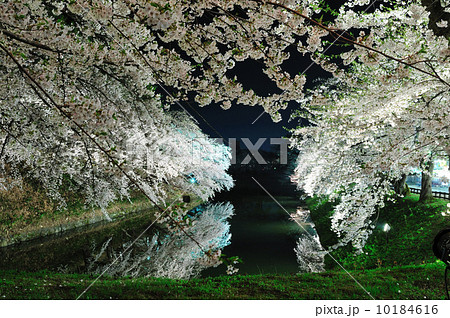 @弘前城夜桜 @弘前城夜桜 10184616