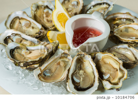 A platter of fresh organic raw oysters on ice 10184706