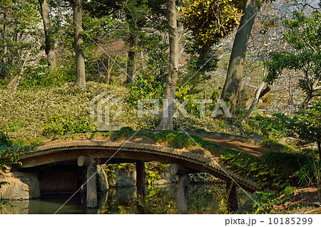 六義園・千鳥橋 六義園・千鳥橋 10185299