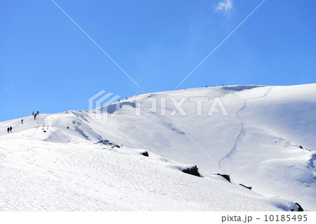 白馬八方尾根スキー場　白銀の稜線と快晴の空 10185495