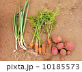 野菜 10185573