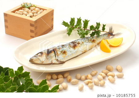 鰯　塩焼き　節分　ヒイラギ（白背景） 10185755