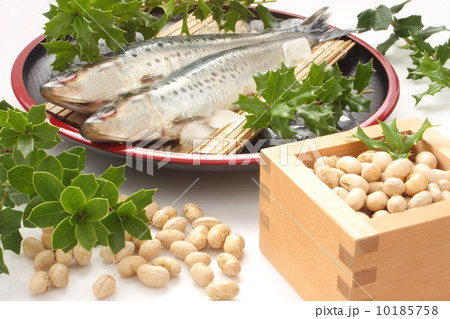 鰯　節分　ヒイラギ（白背景） 10185758