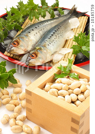 鰯　節分　ヒイラギ（白背景） 10185759