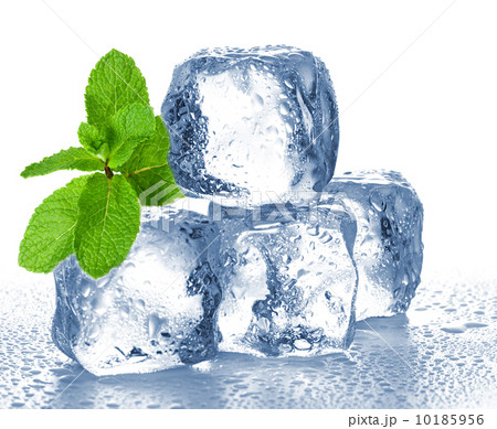 ice cubes and mint ice cubes and mint 10185956