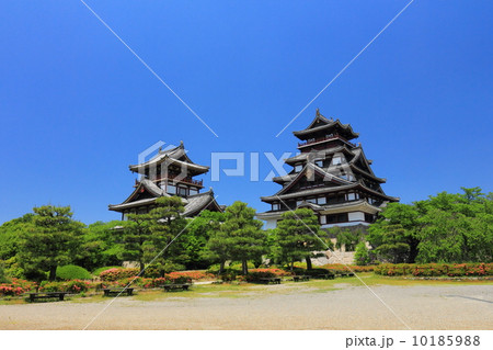 伏見桃山城 10185988