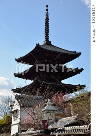 法観寺、八坂の塔 10186117