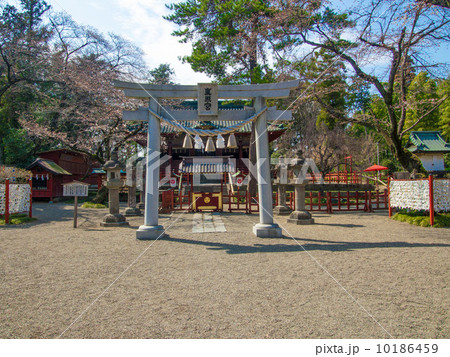 世良田東照宮 10186459