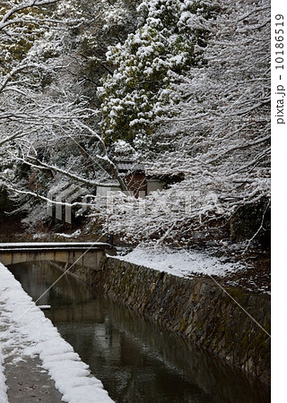 哲学の道、雪景色 哲学の道、雪景色 10186519