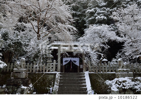雪の大豊神社 雪の大豊神社 10186522