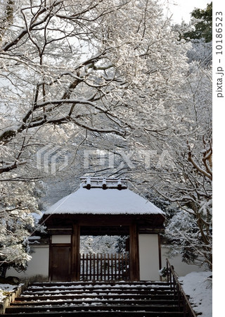 雪の安楽寺 10186523