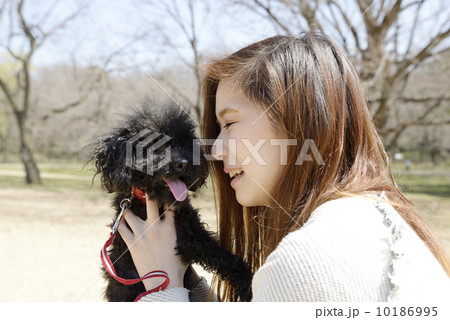犬と遊ぶ若いカップル 10186995