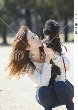 犬と遊ぶ若いカップル 10187002