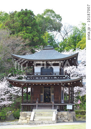 勧修寺　観音堂 10187007