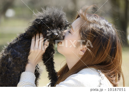犬と遊ぶ若いカップル 10187051