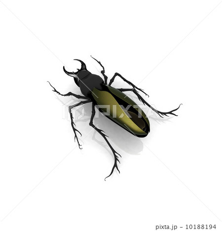 stag beetle 10188194
