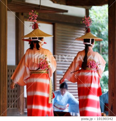 はねず踊り 10190342