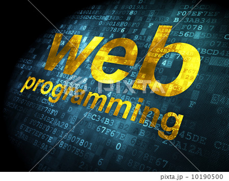 SEO web development concept: Web Programming on digital backgrou SEO web development concept: Web Programming on digital backgrou 10190500