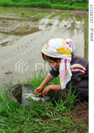 農業用水の水量を調整する子供 10190524