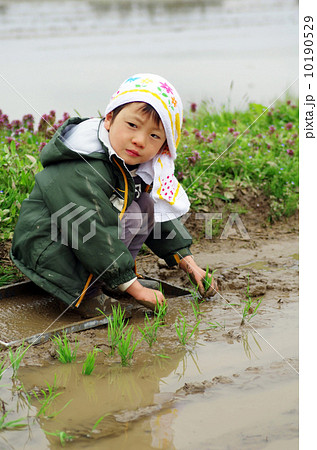 子供の田植え風景 子供の田植え風景 10190529