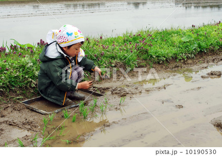 子供の田植え風景 10190530