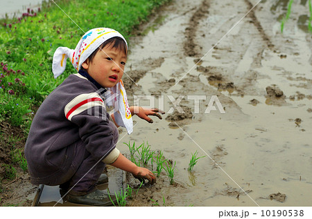 子供の田植え風景 10190538